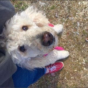 Meet your Posher, Hannah